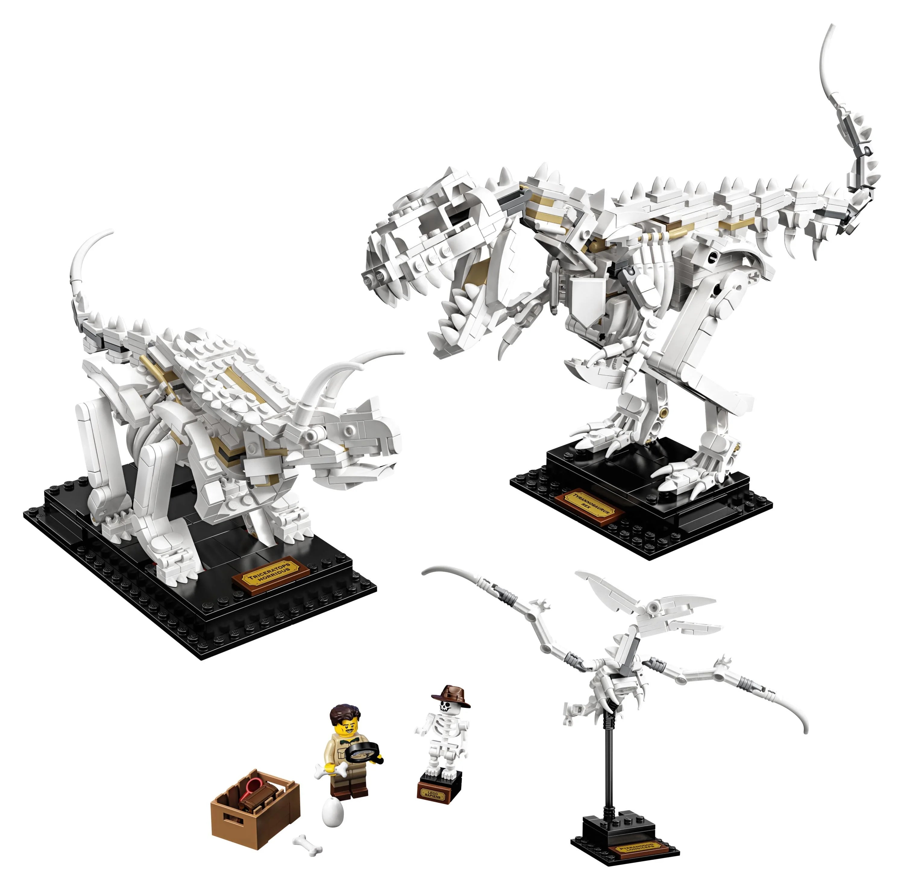 2024 LEGO Ideas 21320 Kit de Construcción de Fósiles de Dinosaurios (910 Piezas)