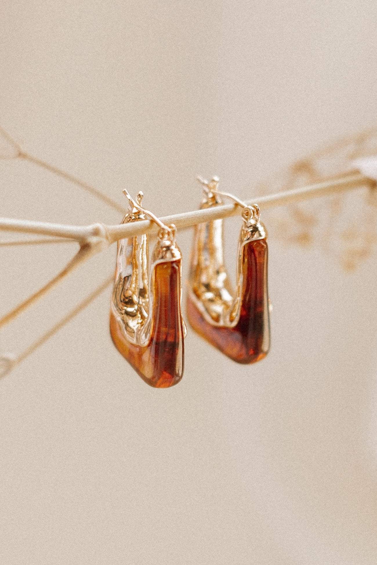 Minsi Earrings - Brown