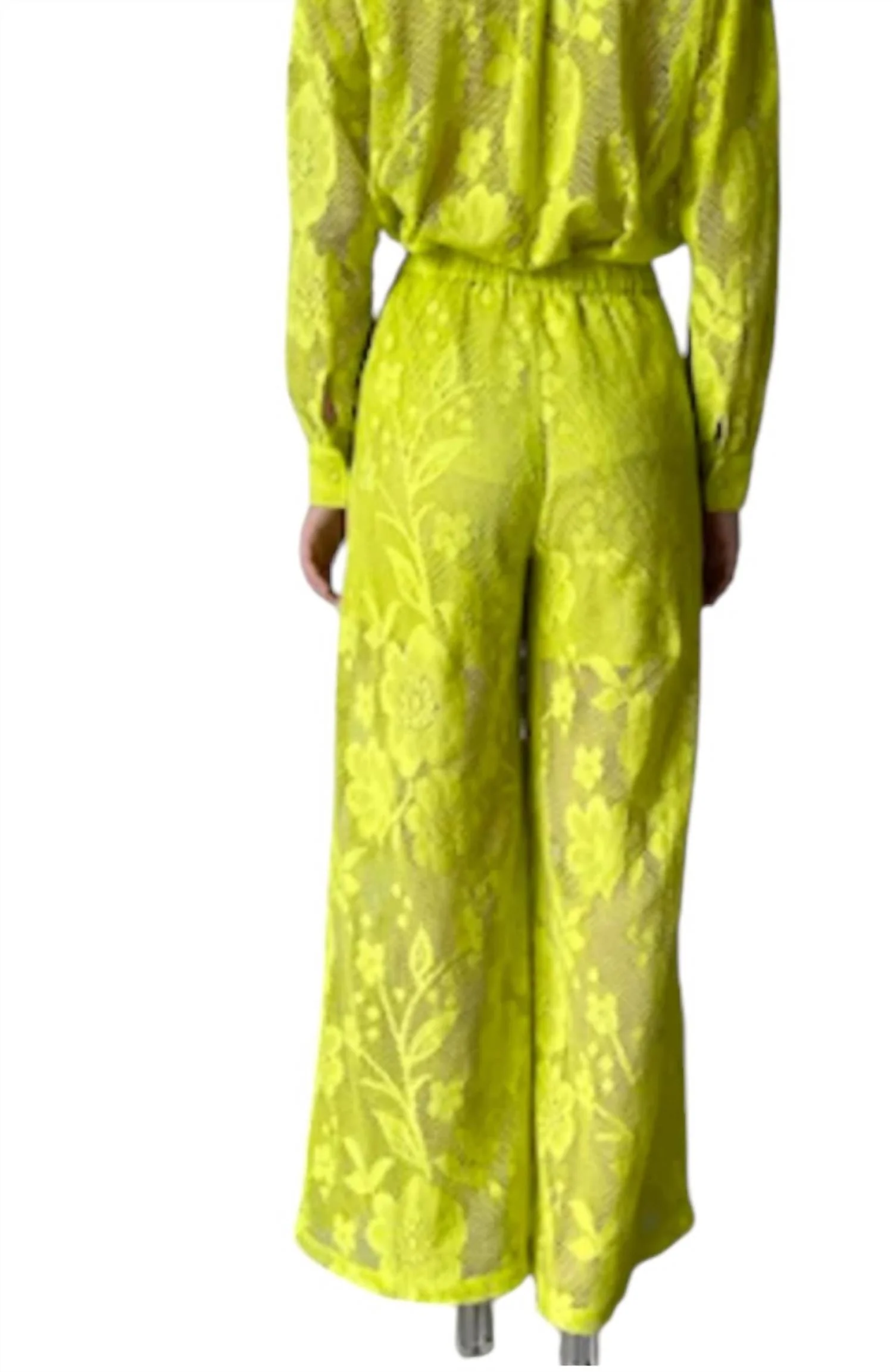 Nysa Pants In Lime
