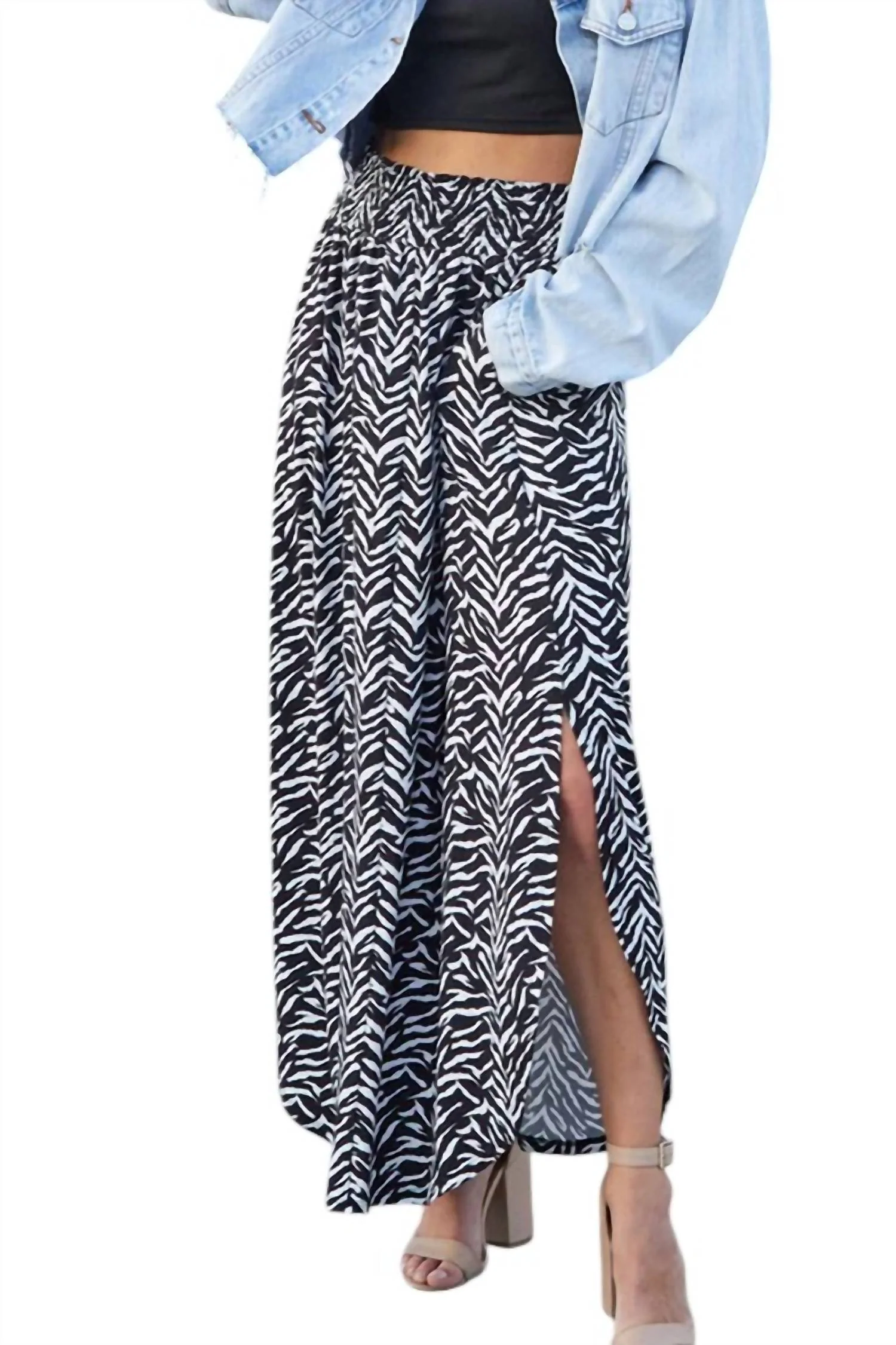 Ready For Anything Maxi Skirt In Zebra