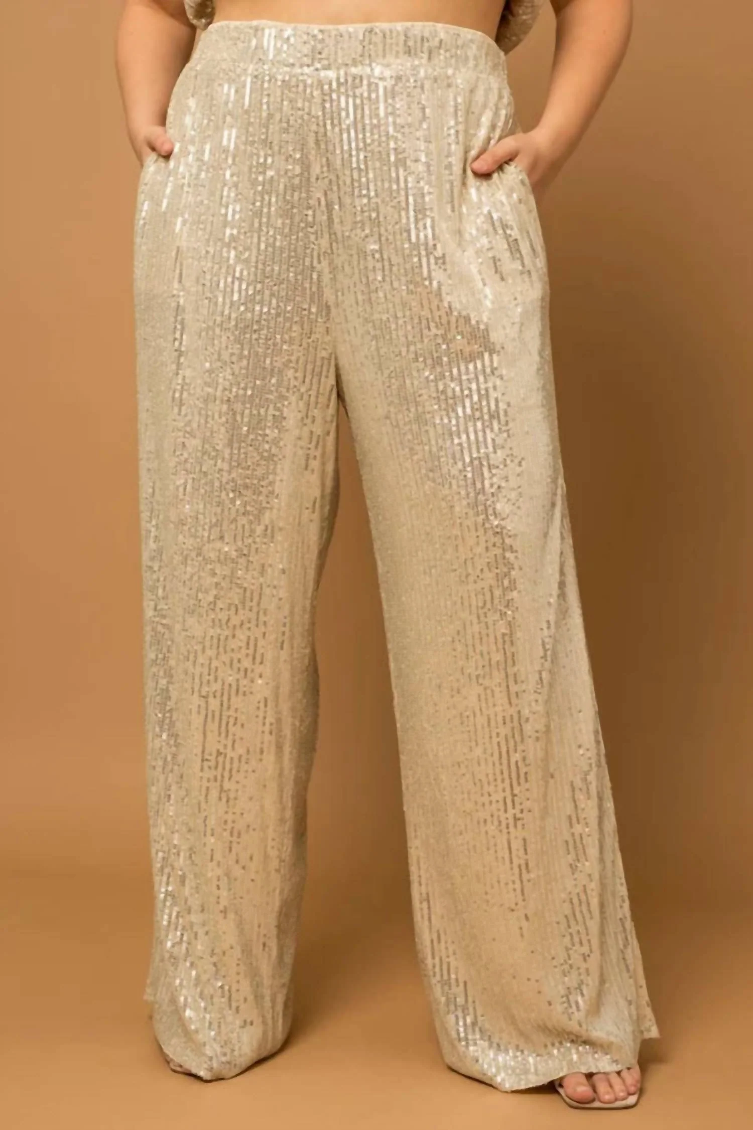 Plus Size Sequin Pants In Champagne