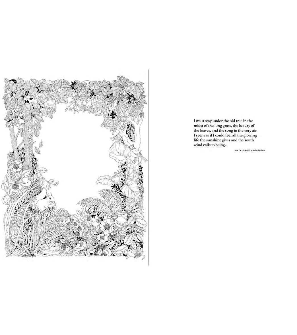 Abrams Books A Walk in the Woods Coloring Book