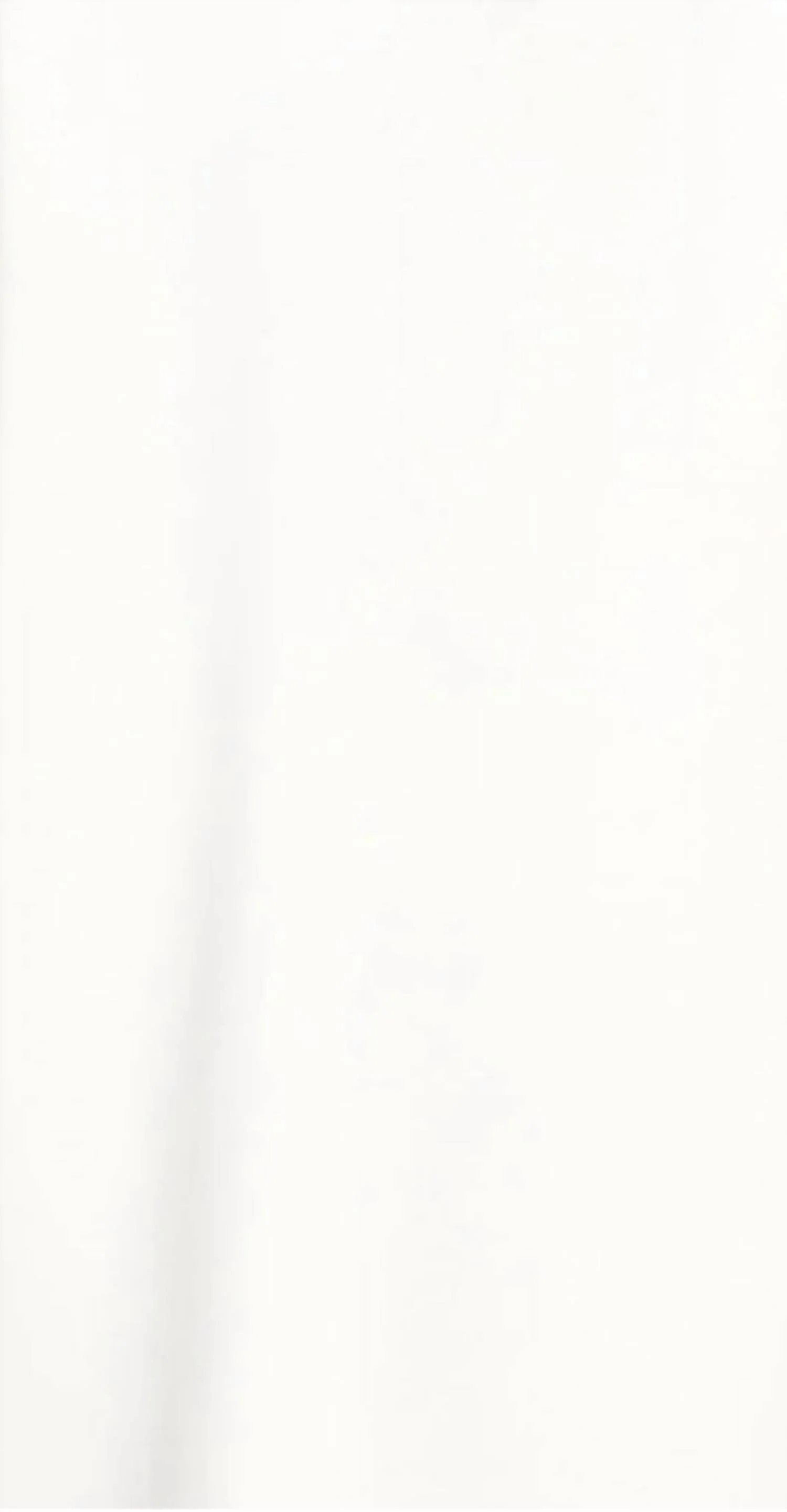 Faith Pearl Trim Pant In White