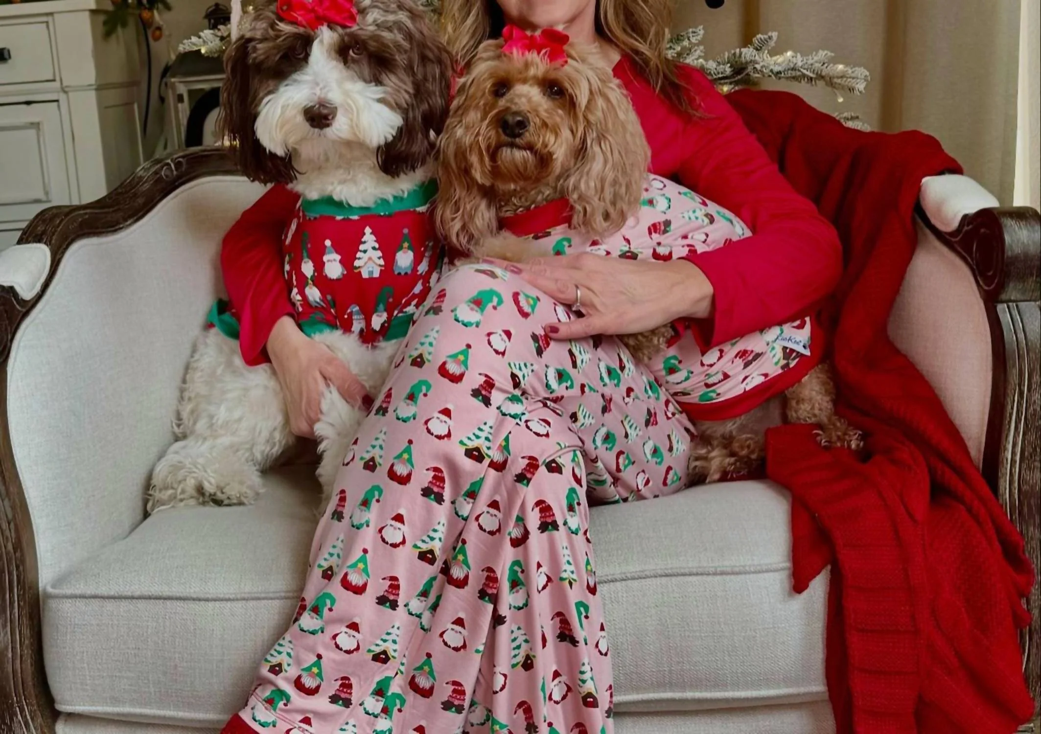 Women's Long Sleeve Tee & Pajama Pants Set In Baby Rose Gnomes