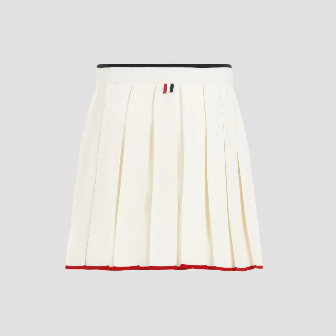 Full Needle Stitch Mini Pleated Skirt