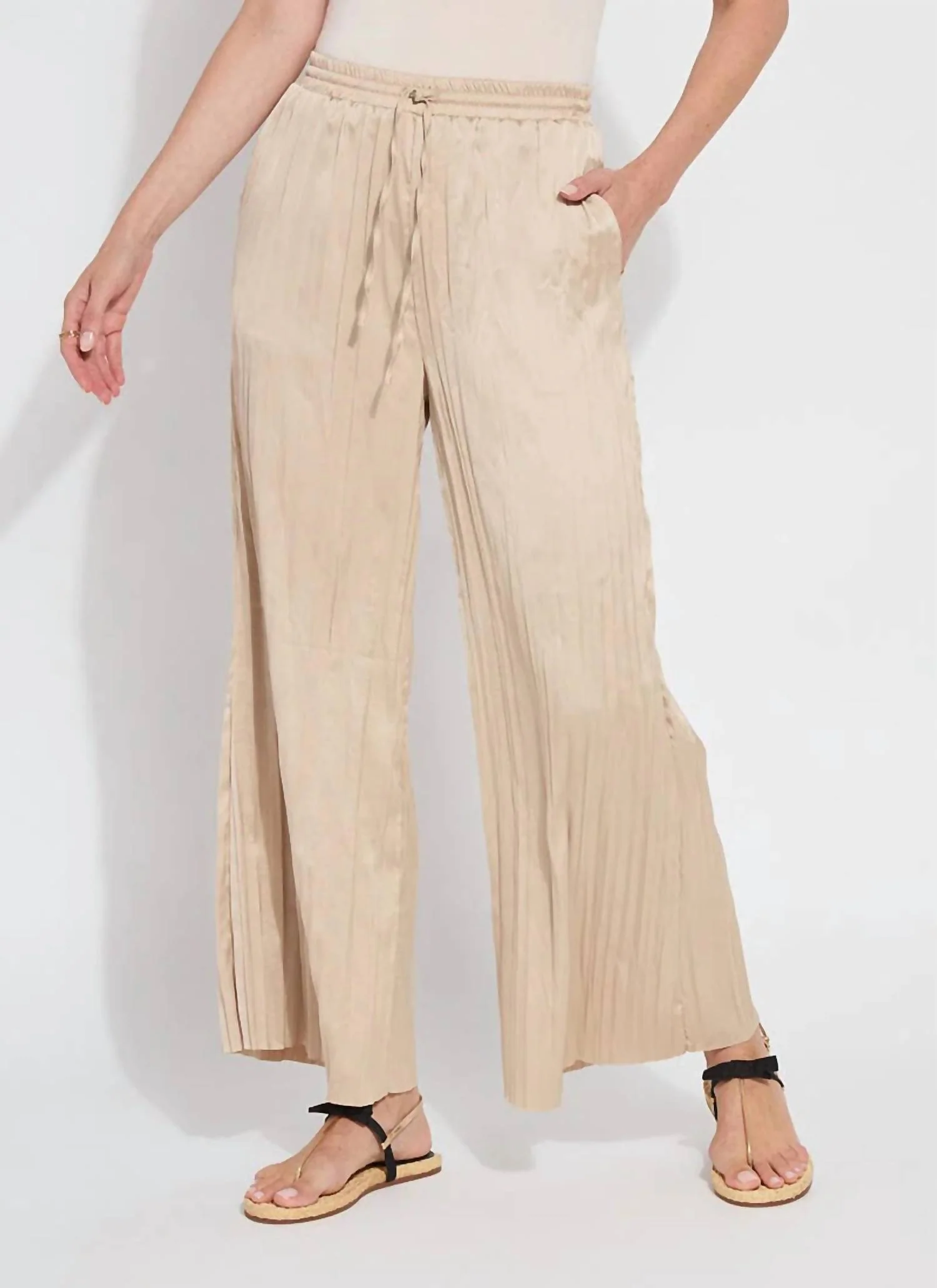 Packable Pleated Palazzo Pant In Chablis