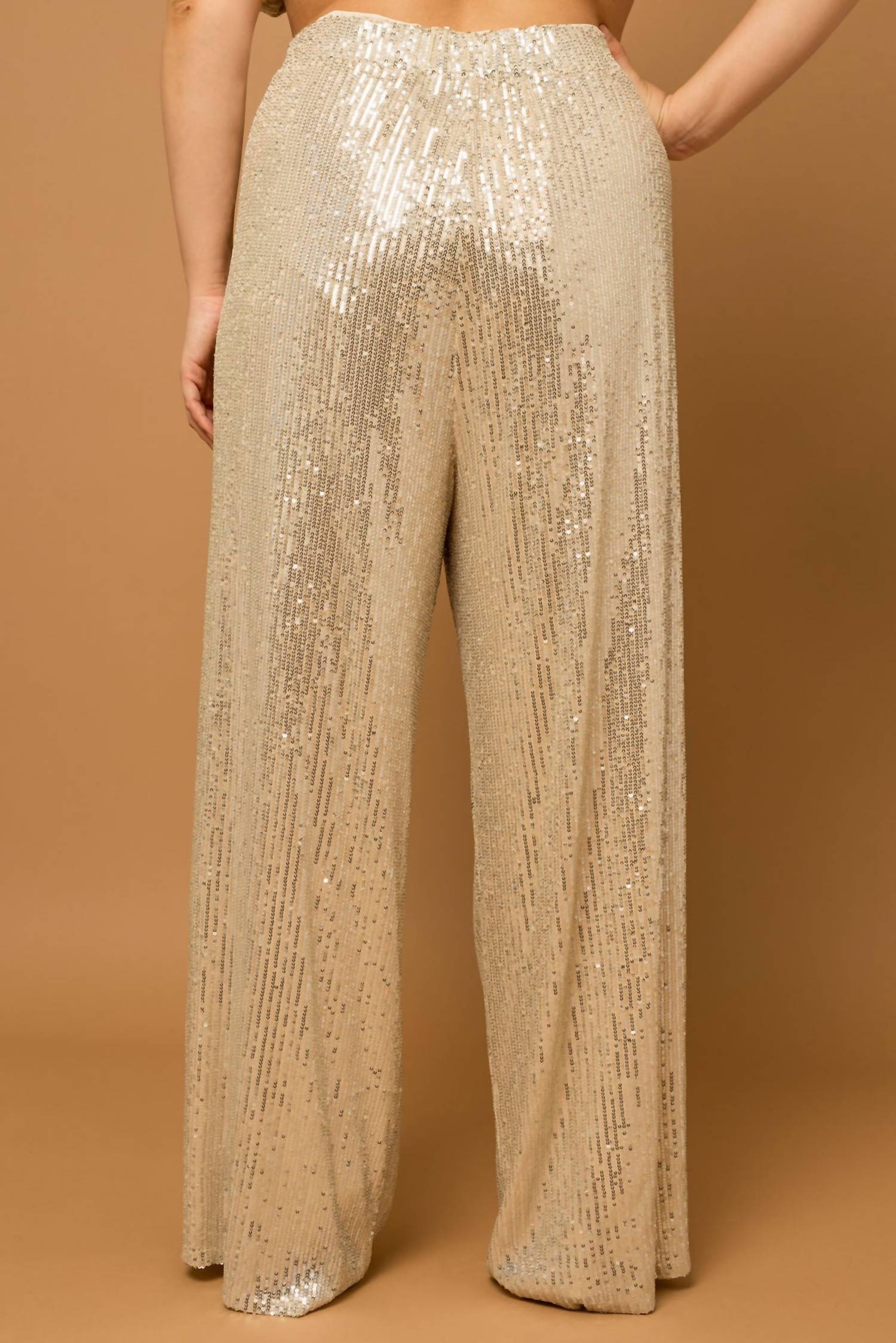 Plus Size Sequin Pants In Champagne