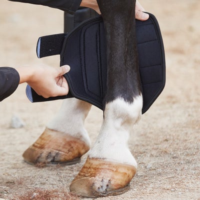 Prime Single Lock Brushing Horse Boots