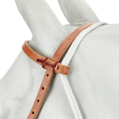 Professional's Choice Schutz Loping Hackamore