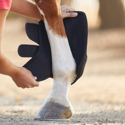 Ultra Support Horse Boots- Pair