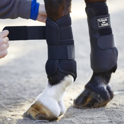 Back On Track Splint Boots