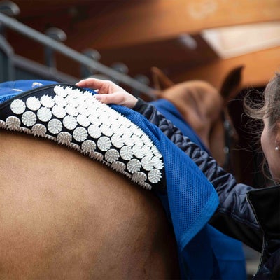 Acuswede Horse Cooler Acupressure Accuhorsemat Kit