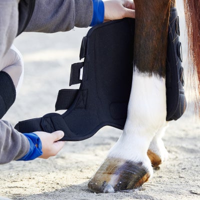 Back On Track Therapeutic Exercise Horse Boots-Hind