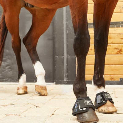 Back On Track Therapeutic Performance Bell Boots
