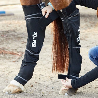 XLR8 Cryotherapy Ice+Compression Hind Boots