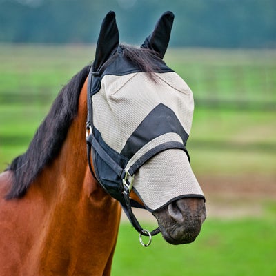 Horze Long Nose Fly Mask w/Ears