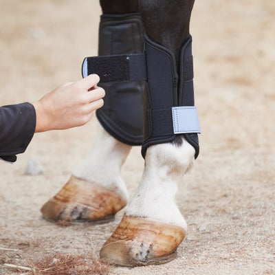 Prime Single Lock Brushing Horse Boots