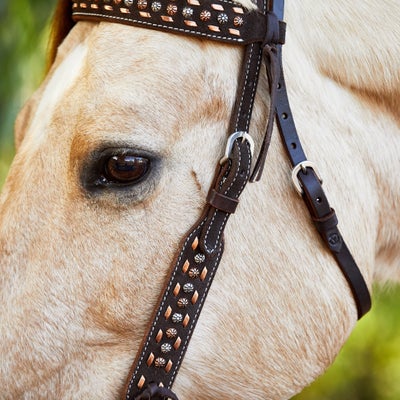 Circle Y Copper Buckstitch Browband Headstall
