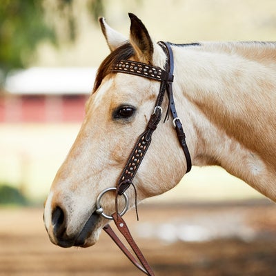 Circle Y Copper Buckstitch Browband Headstall