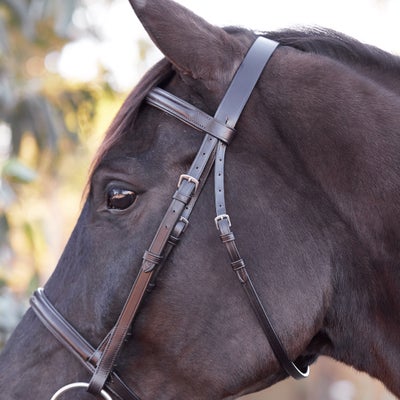 Bobby's Tack Fairhaven Fancy Raised Padded Bridle