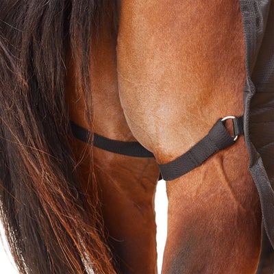 Back On Track Therapeutic Turnout Sheet