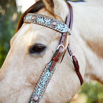 Circle Y Exotic Turquoise Metallic Browband Headstall