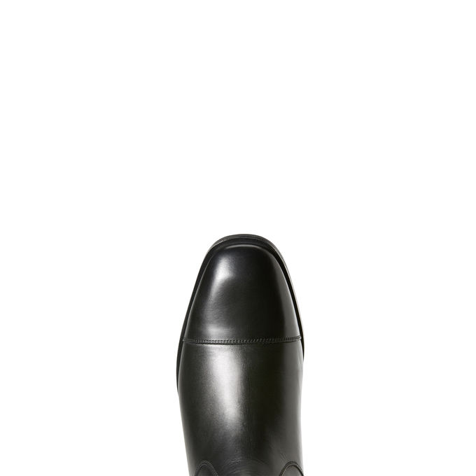 Ariat Divino Dress Tall Riding Boot