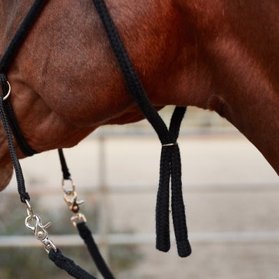 Tory Poly Bitless Bridle w/Reins