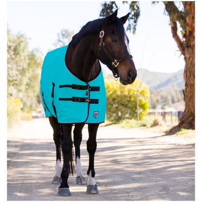 Kensington All Around 1200D Surefit Turnout Blanket 80g
