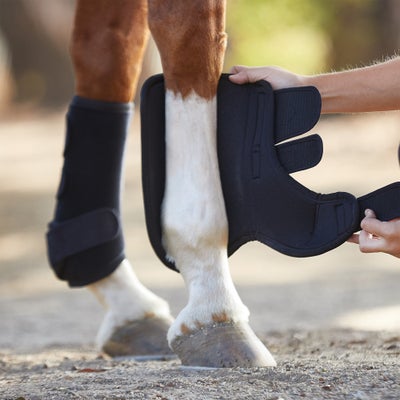 Support Horse Boots- Pair