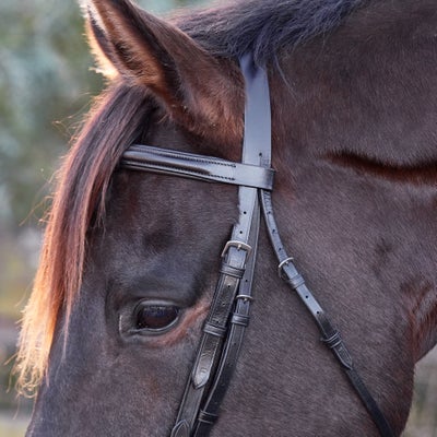 Bobby's Tack Fairhaven Plain Raised Padded Flash Bridle