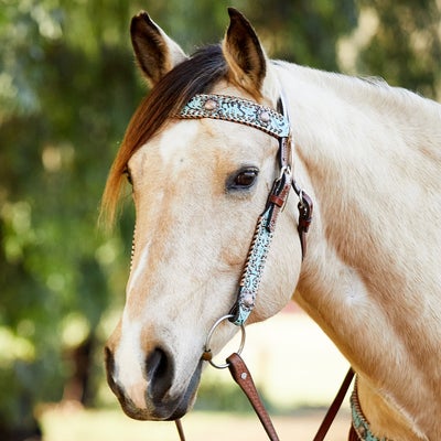 Circle Y Exotic Turquoise Metallic Browband Headstall