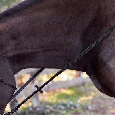 Bobby's Tack Fairhaven Plain Raised Padded Flash Bridle
