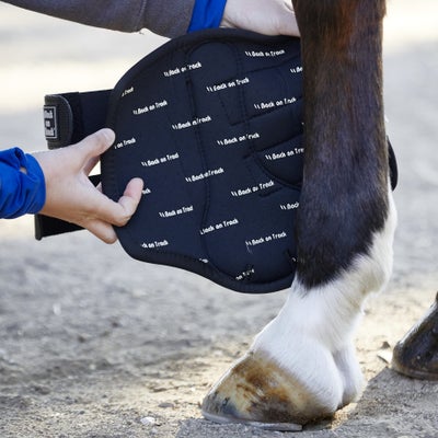 Back On Track Splint Boots