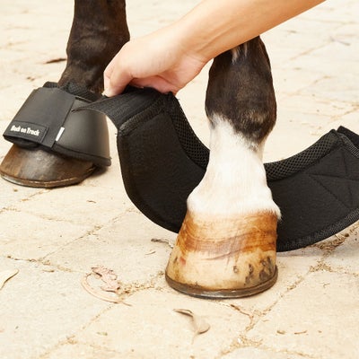 Back On Track Therapeutic Stall Use Bell Boots