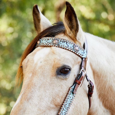 Circle Y Exotic Turquoise Metallic Browband Headstall