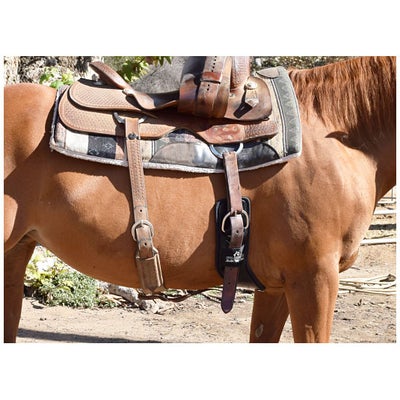 Total Saddle Fit Shoulder Relief Western Neoprene Cinch