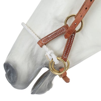 Berlin Custom Leather Sidepull Bitless Headstall