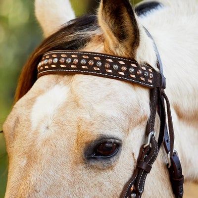 Circle Y Copper Buckstitch Browband Headstall