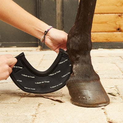 Back On Track Therapeutic Performance Bell Boots