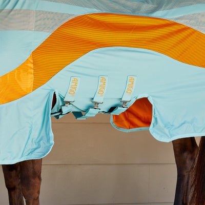 Ariat Horseware Amigo Evolution Fly Sheet w/Neck Cover | Ariat Outlet