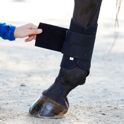 Softy Brushing Splint Horse Boots - Hind