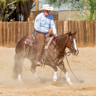 Ariat Professional's Choice SMB VenTECH Elite Front 2 Pk-LTD! | Ariat Outlet