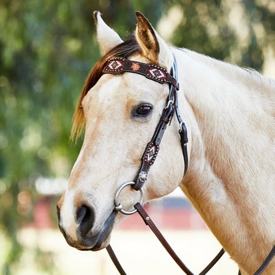 Circle Y Chocolate Roughout Beaded Browband Headstall