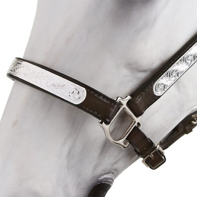 Ariat Tory Oklahoma Western Show Halter & Lead Yearling