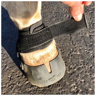 EasyBoot Glove Soft Hoof Boot