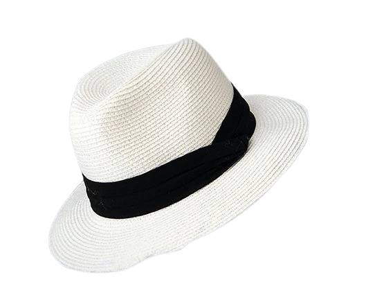 Chapeaux Panama