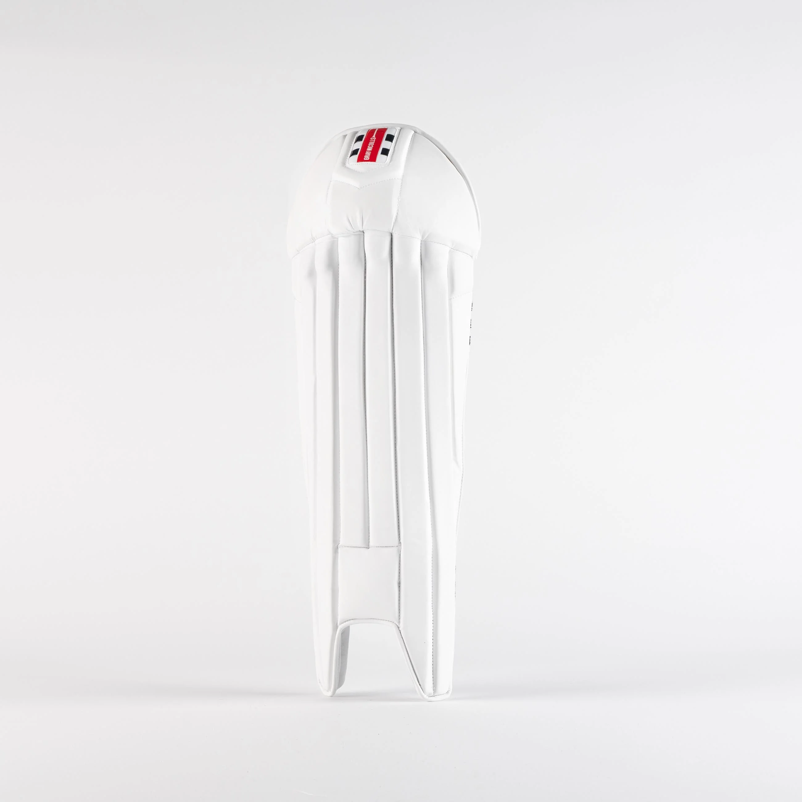 Pro Wicketkeeping Pads
