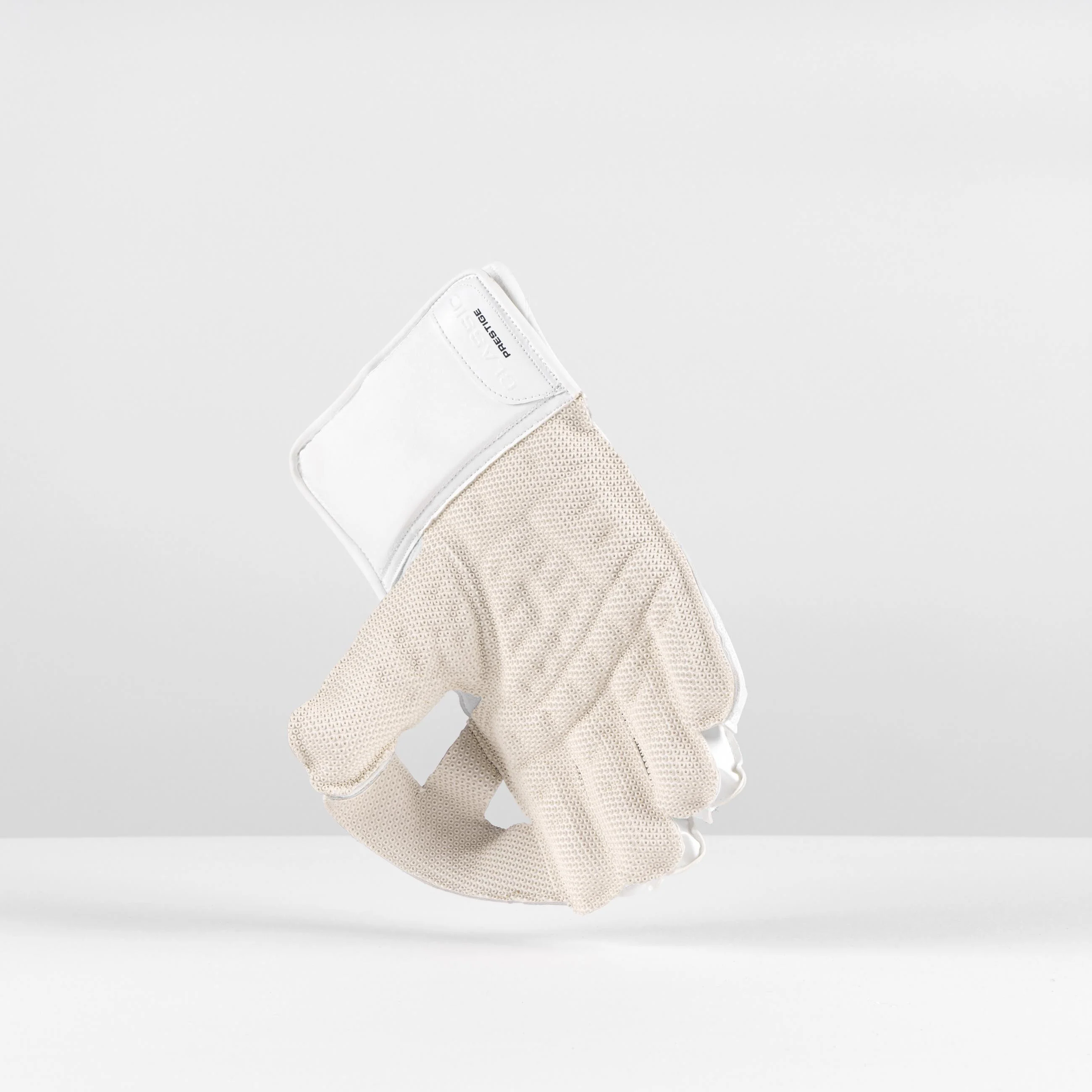 Classic Prestige Wicketkeeping Glove