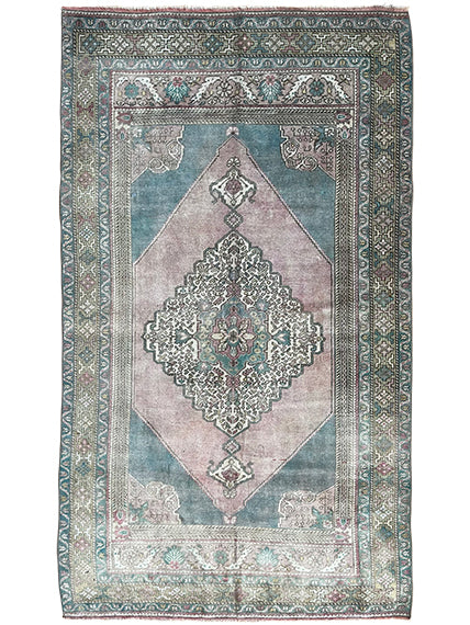 Asli Rug 4'4